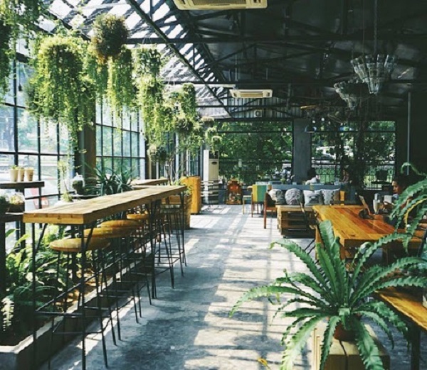 Trang trí nhà hàng ăn uống với cây xanh