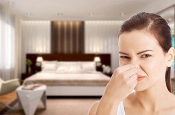 Hướng dẫn cách khử mùi ẩm mốc trong phòng ngủ cực nhanh