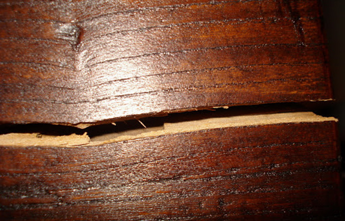 Xử lý đồ gỗ bị nứt bằng mùn cưa