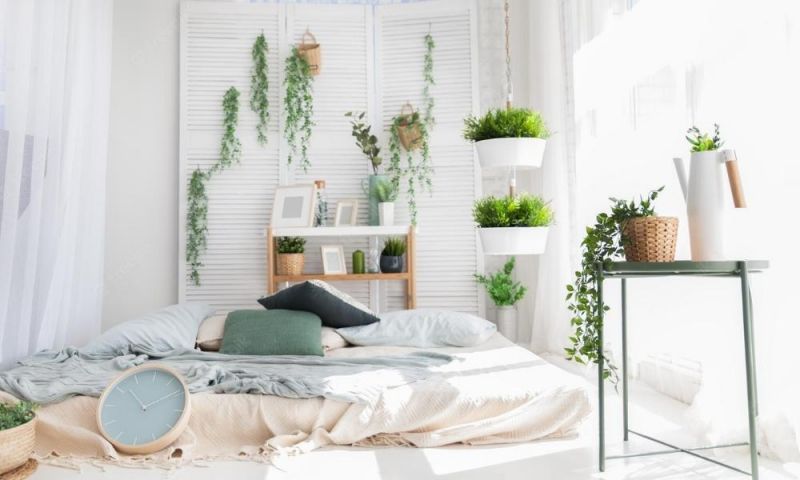 Phòng ngủ không giường với thiết kế màu trắng tinh khiết 